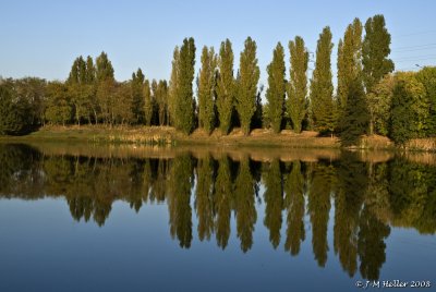 _JMH8209.JPG