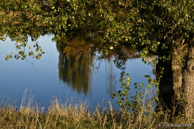 _JMH8224.JPG