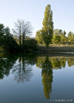 _JMH8229.JPG