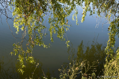 _JMH8232.JPG