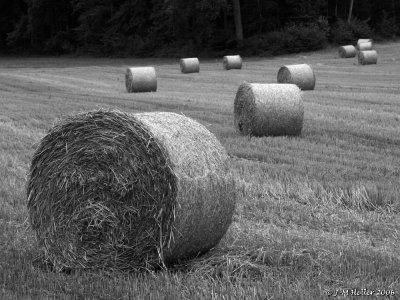 PICT0164nb.JPG