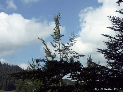 g1/58/851358/3/108527811.dRIyuzRy.jpg