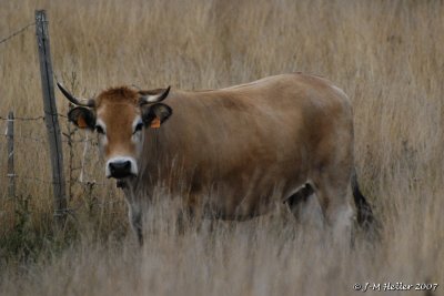 g1/58/851358/3/108846438.J7D4sxdr.jpg