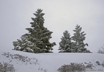 g1/58/851358/3/109469386.GOItUL6v.jpg