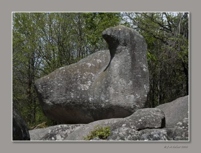 g1/58/851358/3/112468999.gBeLHvO6.jpg