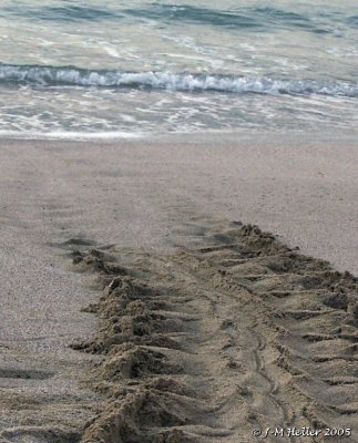 PICT0272.JPG