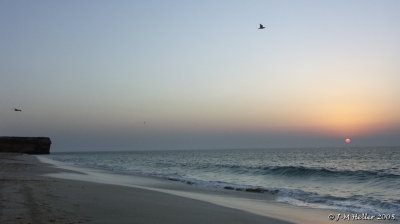 PICT0277.JPG
