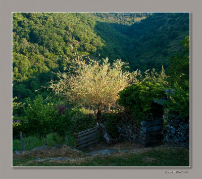 Châteu Vallon