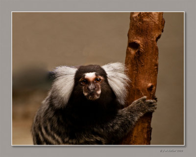 _JMH9382-Modifier-Modifie copie.jpg