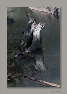 _JMH0164 copie.jpg