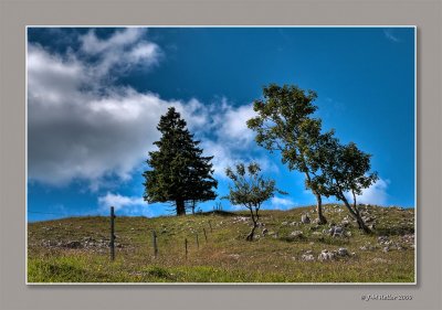 _JMH9844And8more copie.jpg