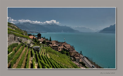 _JMH3448_47_50_49_52_51_5 copie.jpg