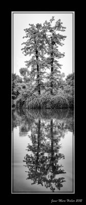 _JMH5327-Modifier-2-Modifier-53-82.jpg