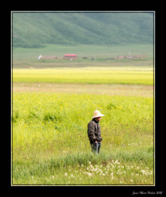 g1/58/851358/3/146229174.jy697Lvl.jpg