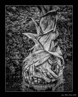 IMG_0516-1_HDR-88-91.jpg