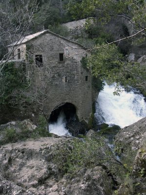 PICT0012.JPG