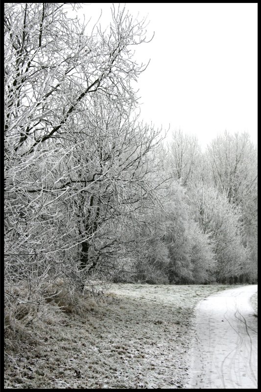 Winter 2007