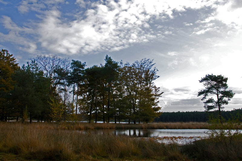Nat Park Dwingelderveld