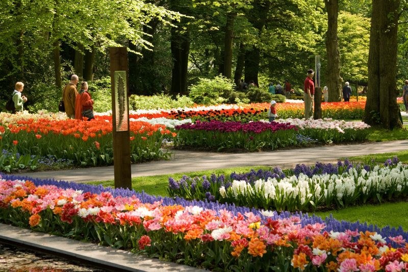 Keukenhof 2009