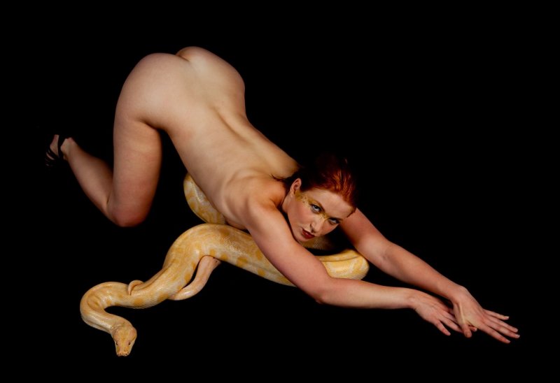 Two snakes_2910