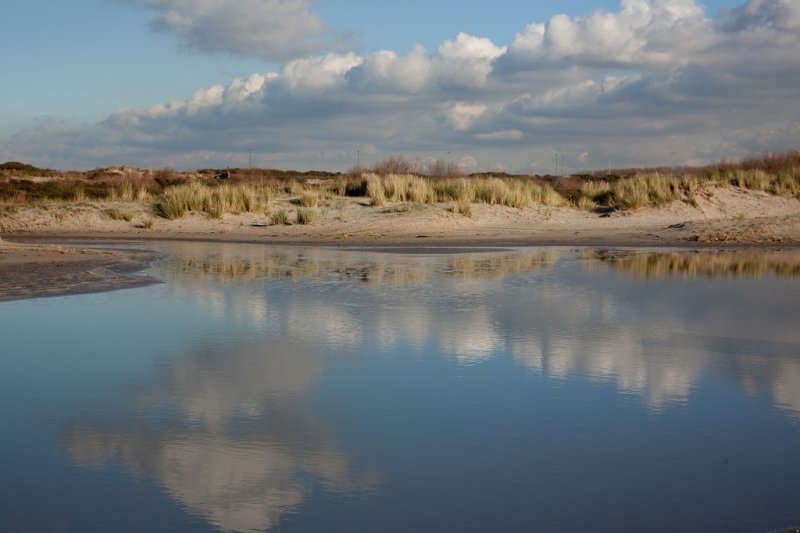 Hoek van Holland_5960