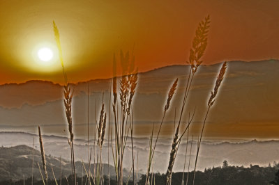 Sunrise at Mount Tamalpais