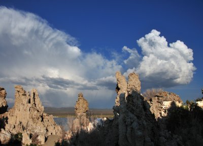 Mono Lake Spring