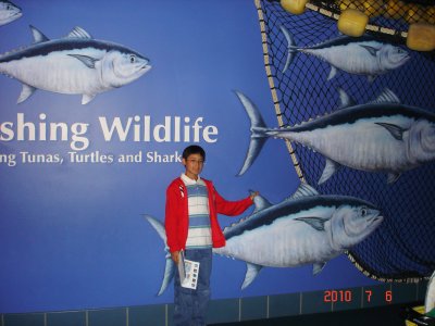 Monterey Aquarium 4.jpg