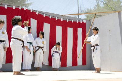 Karate Demo 2010.jpg