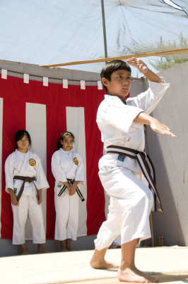 Karate Demo 2010-8.jpg