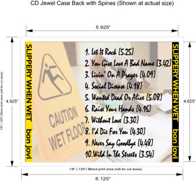 Package Design: CD (back and side inserts)