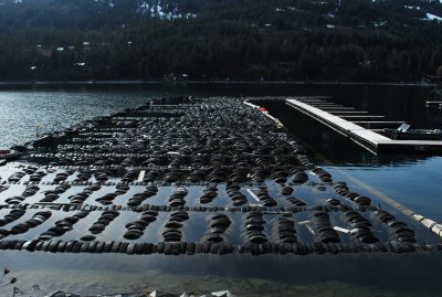breakwater.jpg