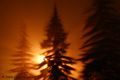 nachtnebel ternary01.jpg