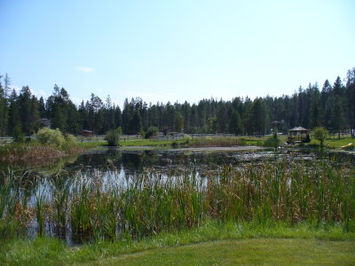 g1/58/930558/3/117658816.Gs6jruNH.jpg