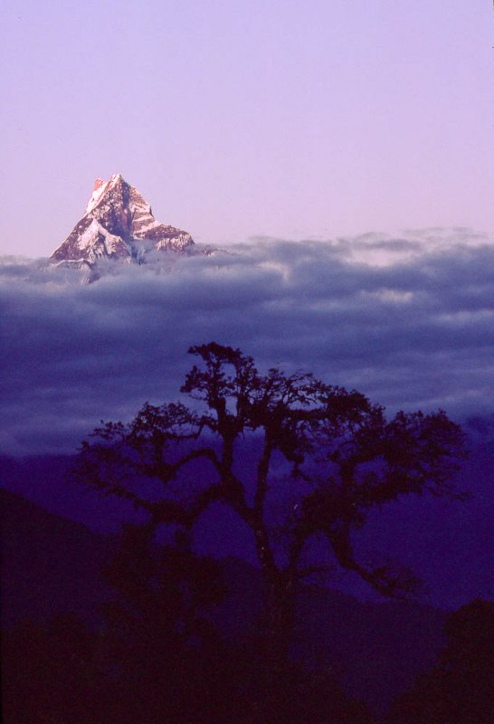 Kodachrome-43.jpg