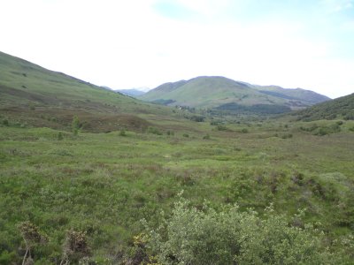DSC00137.JPG