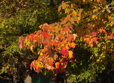 g1/59/257559/3/104780641.qTEj4b1R.jpg