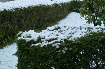 g1/59/257559/3/105184156.uesvRw1T.jpg