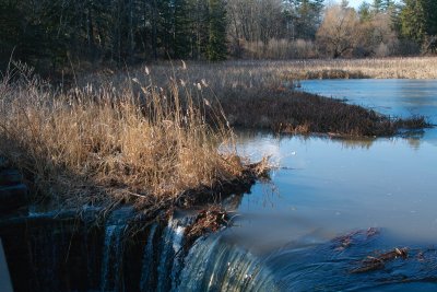 Five Rivers Environmental Education Center