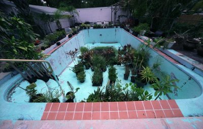 Pool Terrarium