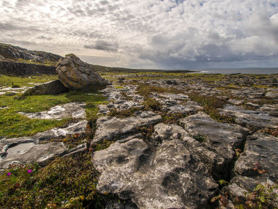 Clare - The Burren