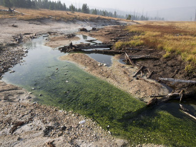 Yellowstone National Park