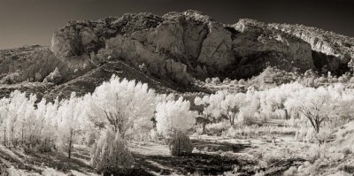 Cottonwood Canyon from Cottonwood Canyon Road