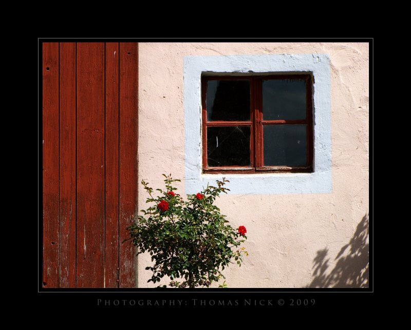 DSCF5997-S100fs.jpg