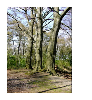 g1/59/420059/3/126751423.YLLSDyU3.jpg
