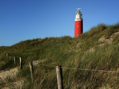 DSCF7188.jpg