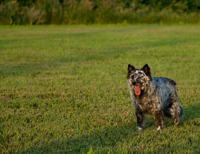 NebraskaTrip07485.jpg