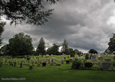el cementerio.jpg