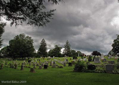 el cementerio.jpg