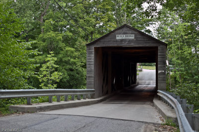 bull bridge 1 of 1.jpg